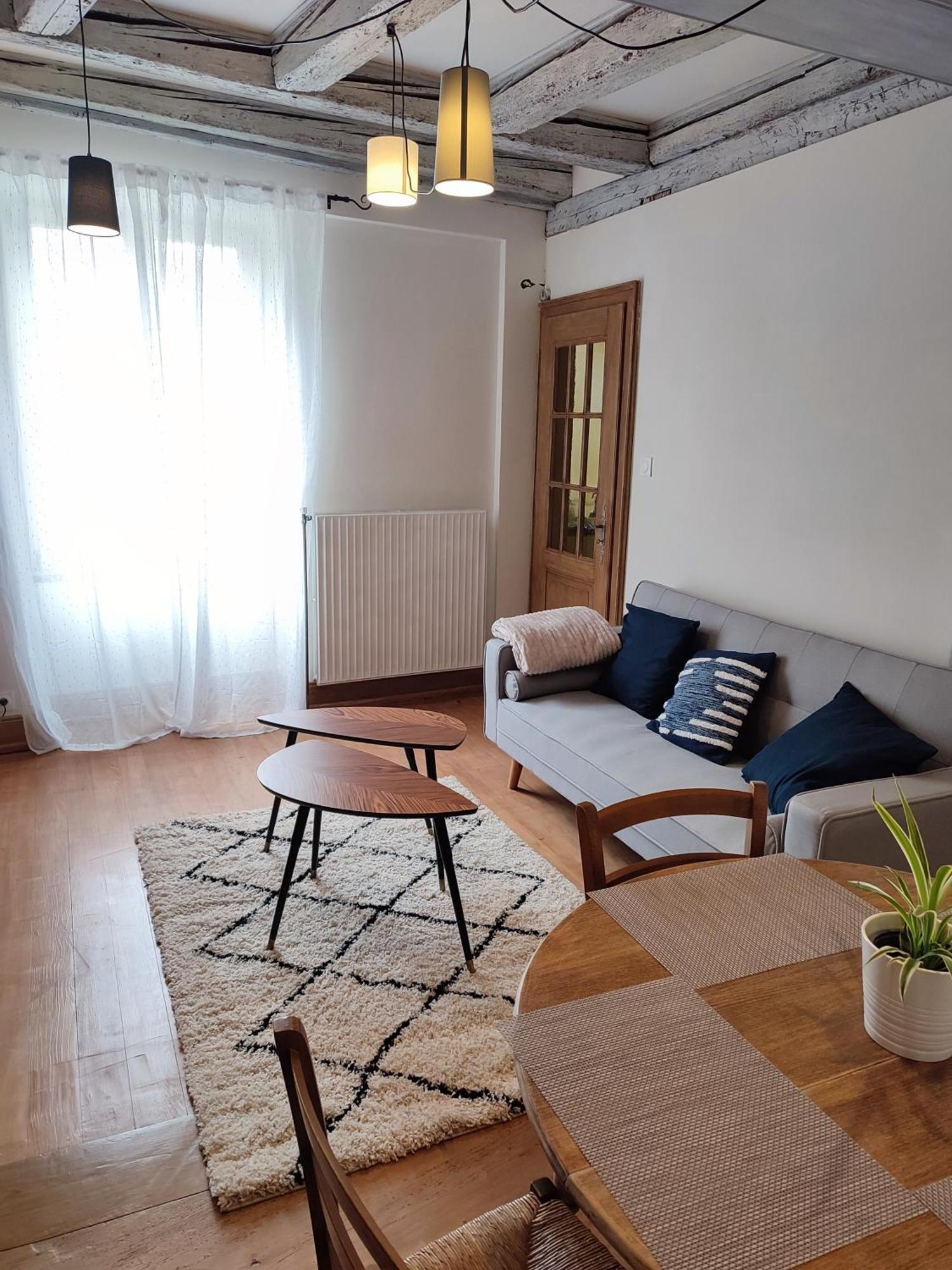 Apartament Chaleureux 3 Pieces Au Centre De Sélestat Zewnętrze zdjęcie